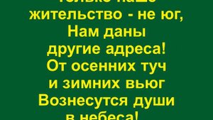 Лето растворяется в дожде
