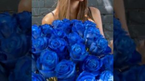 синие розы.mp4