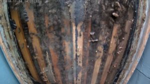 Гибель пчел зимой.Ошибки пчеловода.Как сжимается клуб пчел от холода.