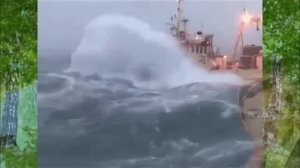 Михаил Ножкин.   Я в весеннем лесу пил берёзовый сок 2.