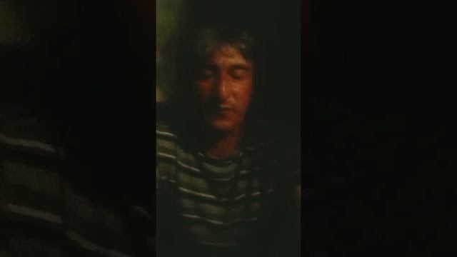 стих старый волк смотреть онлайн