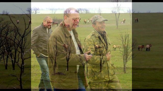 САФАРИ-ПАРК ПОД ЗАПОРОЖЬЕМ. фото STomko смотреть онлайн