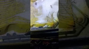 Мотоцикл не едет на средних, и высоких оборотах, ирбис ттр 250р.