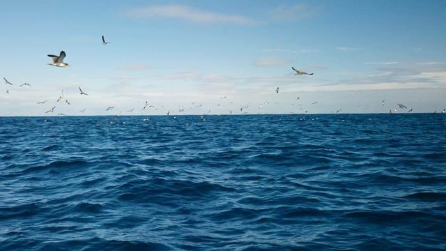 Живописные уголки нашей планеты смотреть онлайн