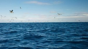 Живописные уголки нашей планеты