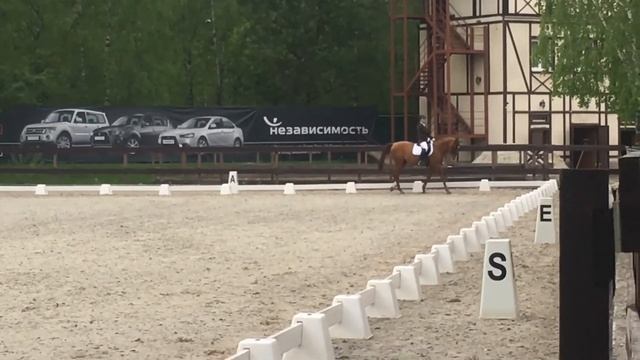 Корнакова Ольга и Галстук.КСК Белая дача. 20мая 65,2% смотреть онлайн