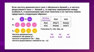 Биология. 11 класс. Закон генетического равновесия Харди-Вайнберга /23.04.2021/