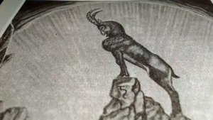 Знак зодиака Козерог. Камни талисманы.