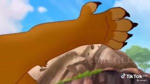 ? Хранитель лев ? [Тик Ток] История повторяется ..