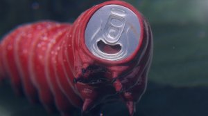 Coca-Cola показала будущее рекламы - реклама в сновидениях