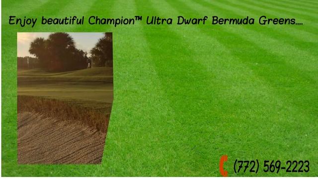 Vista Plantation Golf Club in Vero Beach, Florida | Things to do in Vero Beach - Fort Pierce смотреть онлайн