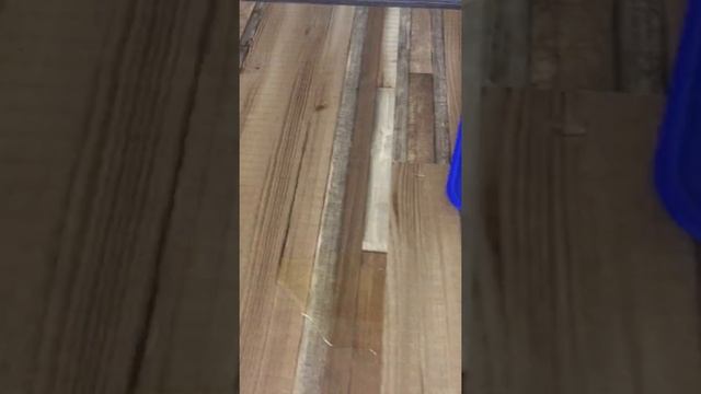 Ши-тцу без проблем писает возле своей еды