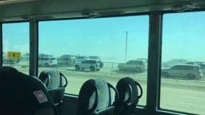 Скачки на верблюдах. ОАЭ. Camel racing in Sweihan , UAE