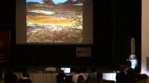 Загадка Жаманшина, лекция Владимира Крупко