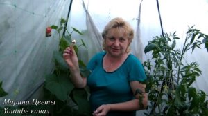ВРЕДИТЕЛЯМ В ТЕПЛИЦЕ НЕ МЕСТО ! ТОЛЬКО СО МНОЙ ПОЛУЧИТСЯ !