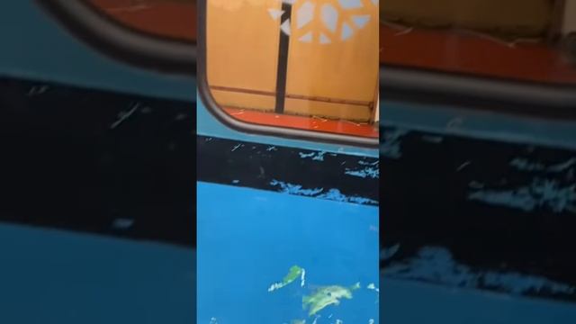 Перегонка Новогоднего ЕЖ-3 в депо «Красная Пресня» на техобслуживание 7.11.23 #метромосквы #shorts