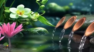 3 ЧАСА Расслабляющая Музыка «Вечерняя Медитация» Фон для Йоги, Массажа, Спа