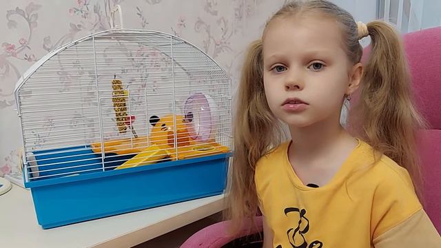 МОЙ ХОМЯК - ЗНАКОМЬТЕСЬ|my hamster|мой питомец|Хома-хомяк