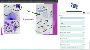 Цитология: начало. Глебова Ольга #убвк_лабораторная_диагностика #убвк_цитология