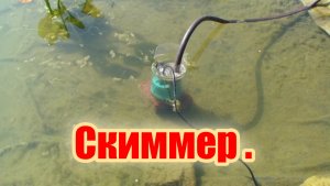 Как сделать скиммер из бутылки.