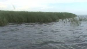 Калмыкия ... Подводная охота на Каспии ...