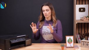 За что мы поставили принтеру Brother dislike?