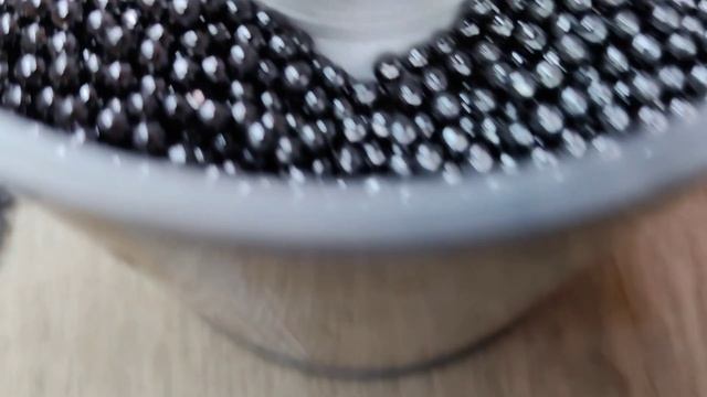 Эксперимент: Мучные жуки под слоем свинца смогут ли размножаться? Ч.1 смотреть онлайн