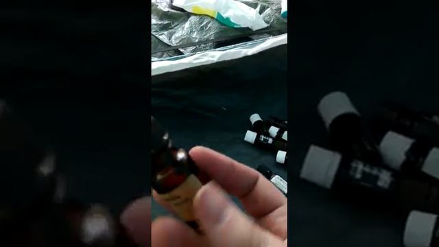 Уборка в палатке. Профилактика от клещей. смотреть онлайн