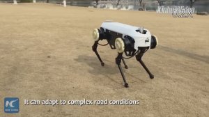 Китайцы скопировали роботов Boston Dynamics
