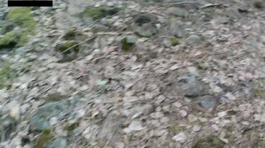 Аэродром Вещево