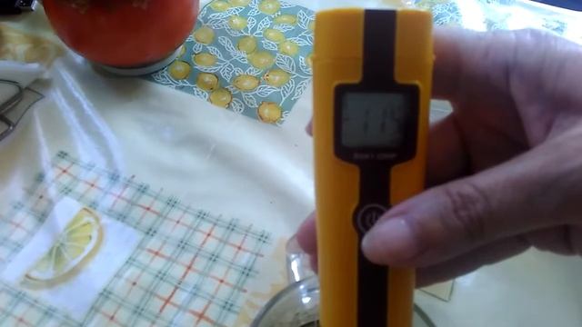 Летние тонизирующие витаминные напитки с живой водой из фильтра-ионизатора воды Истока / Витал Райз смотреть онлайн