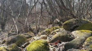 Купить участок в с.Шабановское | Переезд в Краснодарский край