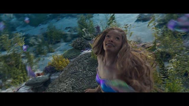 The Little Mermaid - 'Under the Sea' Movie Clip 2023 Halle Bailey, Melissa McCarthy смотреть онлайн