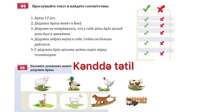 Rus dili/ 6-cı sinif/ ikinci xarici dil/ dərs18 смотреть онлайн