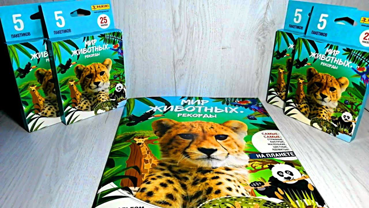 Panini Мир Животных. Рекорды - 4 блистера