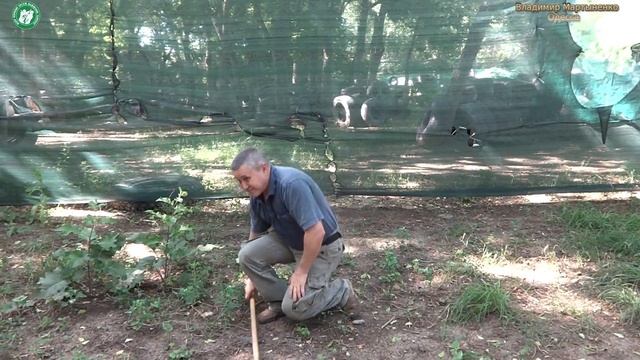 Разгон палки. Работа предплечья смотреть онлайн