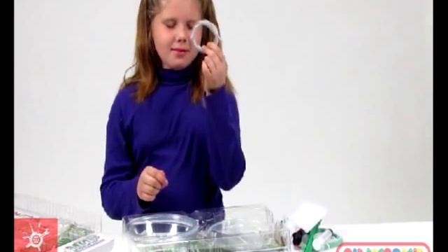 Мир насекомых мини экосистема