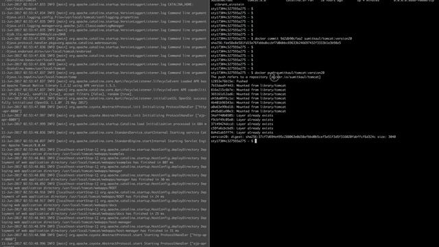 Running Tomcat Inside Docker Container смотреть онлайн