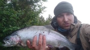 Север 2022 форель беглянка