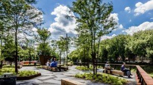 Очнувшись в больнице, случайно услышала разговор родителей. Девушка бежала из города не оглядываясь