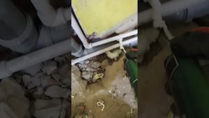 как пенить без пистолета