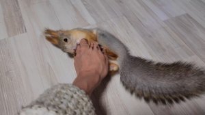 Молли- очень игривая девчонка!!! ?