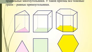 «Многогранники и тела вращения» / Саитова М.М.