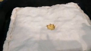 ВЛОГ НЕ ЛЮБЛЮ ПЕРЕСМАТРИВАТЬ ФИЛЬМЫ/ПЕРЕСАДИЛА ЦВЕТОК/ПОДАРИЛИ АРТУРУ ТЕЛЕФОН