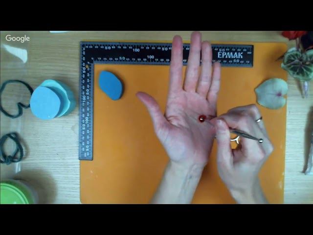 Красный цикламен. 18.01. 19 смотреть онлайн