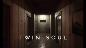 Twin Soul ➤ ПОЛНОЕ ПРОХОЖДЕНИЕ