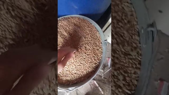 Надо заказать " Рябушку" на Яндекс маркете и заработать баллы " Яндекс плюс " . 10 пакетов хватает. смотреть онлайн