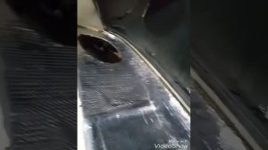 шумоизоляцыя задней полки ваз 2101-07
