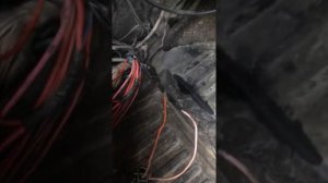 Как установить реле отключения бензонасоса
