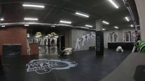 BJJ спаринг 08.08.18